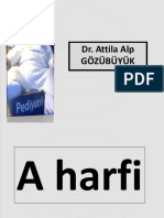 Pediatrik Akil Defteri PDF