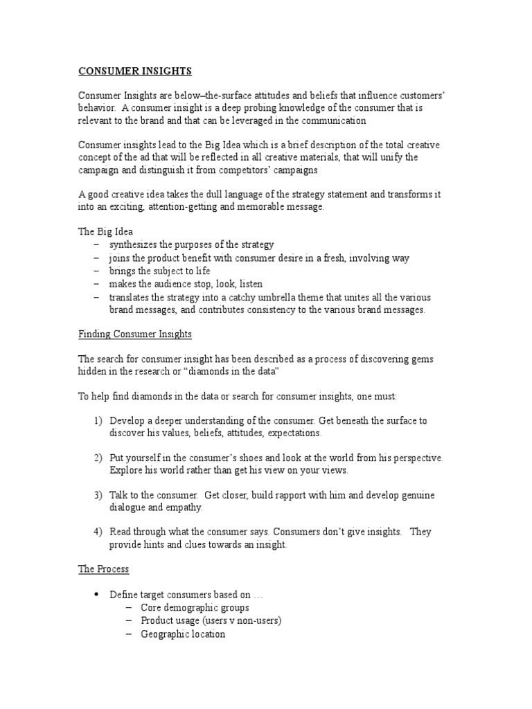 Consumer Insights Insect Repellent PDF Brand Attitude (Psychology)