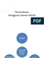 Pemeriksaan Saluran Kemih.pptx