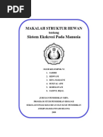 Download makalah-sistem-ekskresi-pada-manusiadocx by Suro Imanul Afif SN355438378 doc pdf