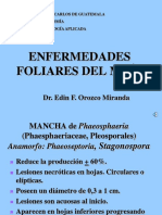 enfermedades-maizsorgo2010