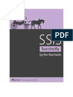 SSIS Succinctly PDF