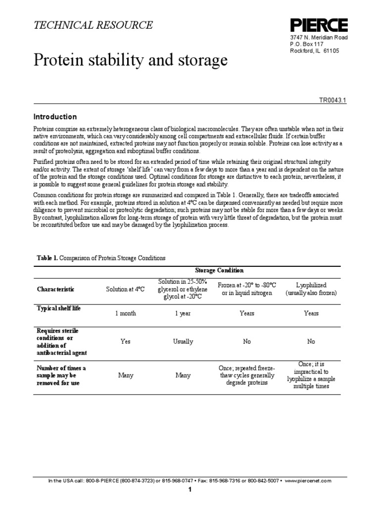 Protein - Stability and Storage PDF | PDF