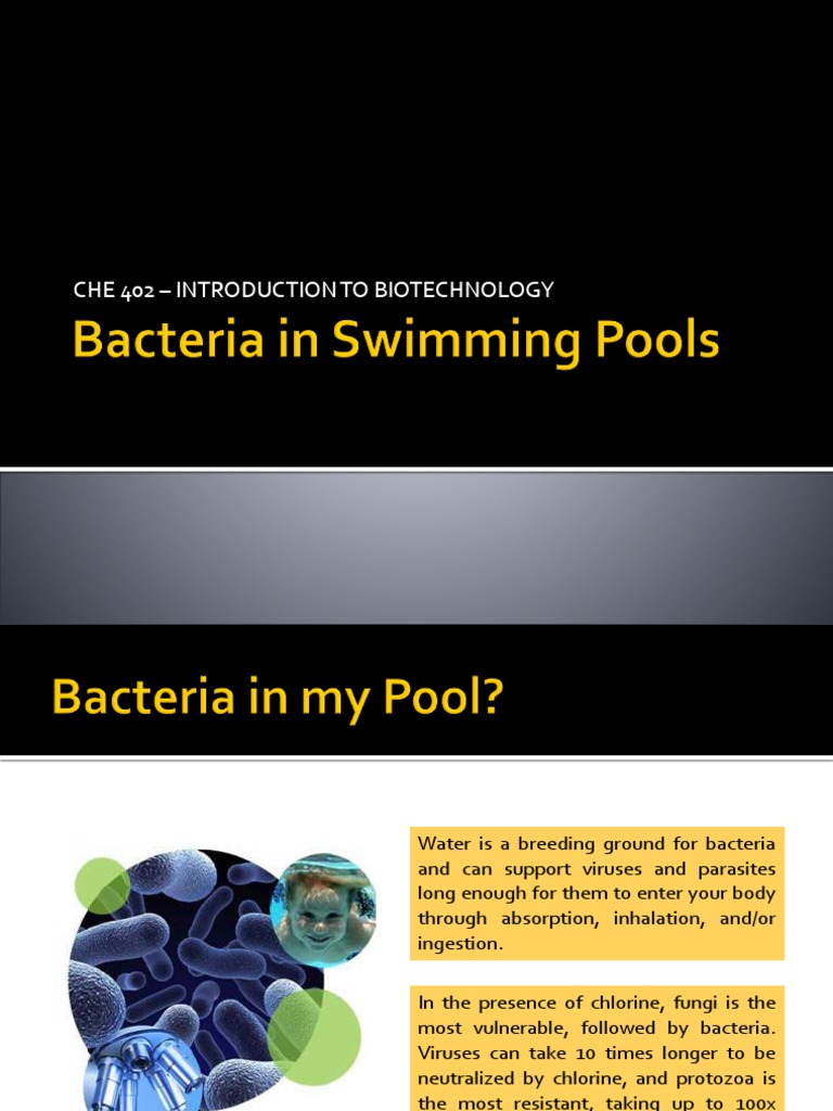 Bacterias in Swimming Pool | PDF | Lipopolysaccharide | Bacteria