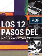 12 Pasos Del Teletrabajo PDF