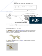 2º Basico Ciencia GUIA VERTEBRADOS