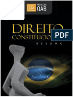 272504009-resumao-direito-constitucional.pdf