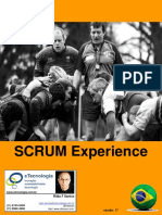 scrumexperience.pdf