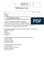 Prueba de "Primer Semestre 2º Básico.: Ciencias Naturales