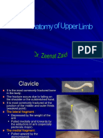 1. Hafizah Bt Mohd Hoshni Musculoskeletal Clinical Anatomy of the Upper Limb