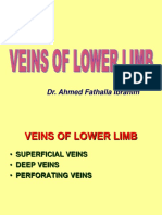 4. Hafizah Binti Mohd Hoshni Musculoskeletal Anatomy Lower Limb Veins and Lymph