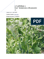 Homotoxicología en General y Lepidium Latifolium