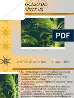 EL PROCESO DE FOTOSÍNTESIS.pdf