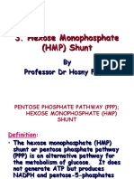 Hexose Monophosphate (HMP) Shunt