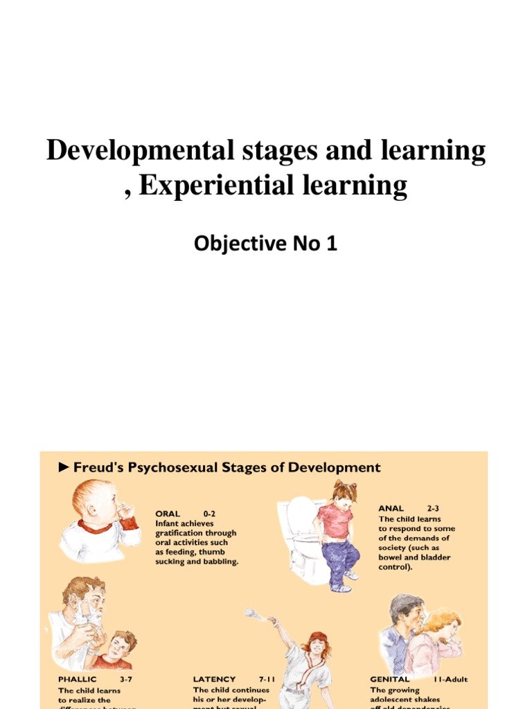 Developmental Stages in Learning | PDF | Thought | Neuropsychological ...