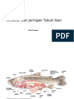 DTPI 1 Struktur Jaringan