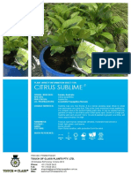 Citrus Sublime: Touch of Class Plants Pty. LTD