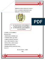 fraude del acto juridico.docx