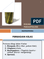 Kuliah 3. Parasitologi Ump Mastigophora