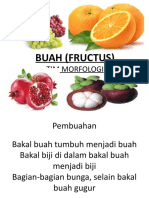 BUAH 