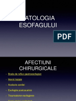 Curs 2 - Patologia Esofagiana