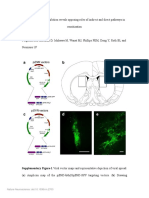 Fergason Et Al Nat Neur Supp