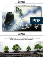 Bonsai.pdf