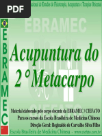 Aula Acupuntura do 2º Metacarpo.pdf.pdf