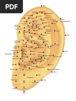 Mapa Auricular de Neves.pdf