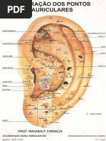 Mapa de auriculo terapia.pdf