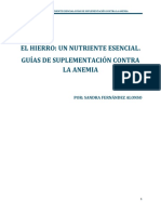 Hierro Un Nutriente Escencial PDF