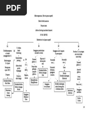 Pathway Syok Sepsis Docx