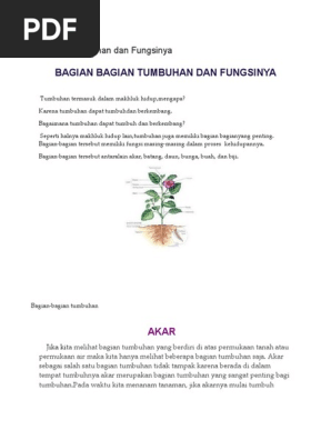 Bagian Tumbuhan  Bunga  Yang Menempel Pada Putik Pada Saat 
