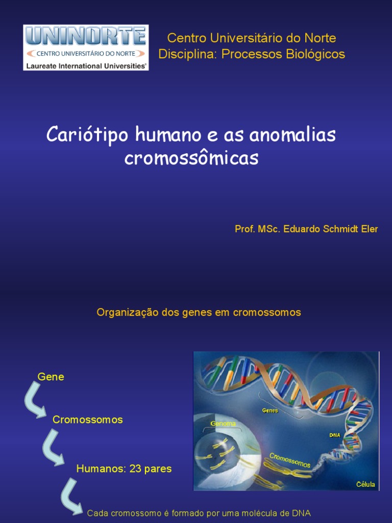Na Especie Humana Podem Aparecer Certas Anomalias Cromossomicas