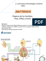 Anato 7 A.pdf