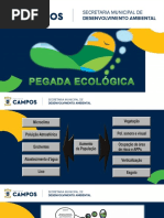 Pegada Ecológica_RRC.ppt