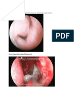 Differential Diagnosis