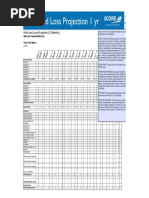 Profit and Loss Projection 1yr 0 0