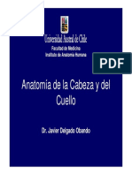 Antomia Cabeza y Cuello PDF