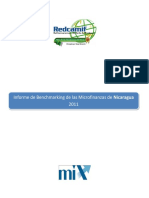 Informe de Benchmarking Nic 2010 PDF