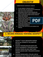 Presentation Risda Plantation SDN BHD
