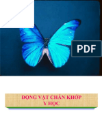 Động Vật Chân Khớp