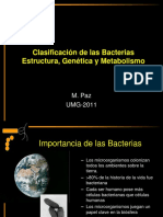 Clasificación de Las Bacterias