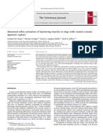 Abnormal Reflex Activation of Hamstring Muscles in Dogs With Cranial Cruciate