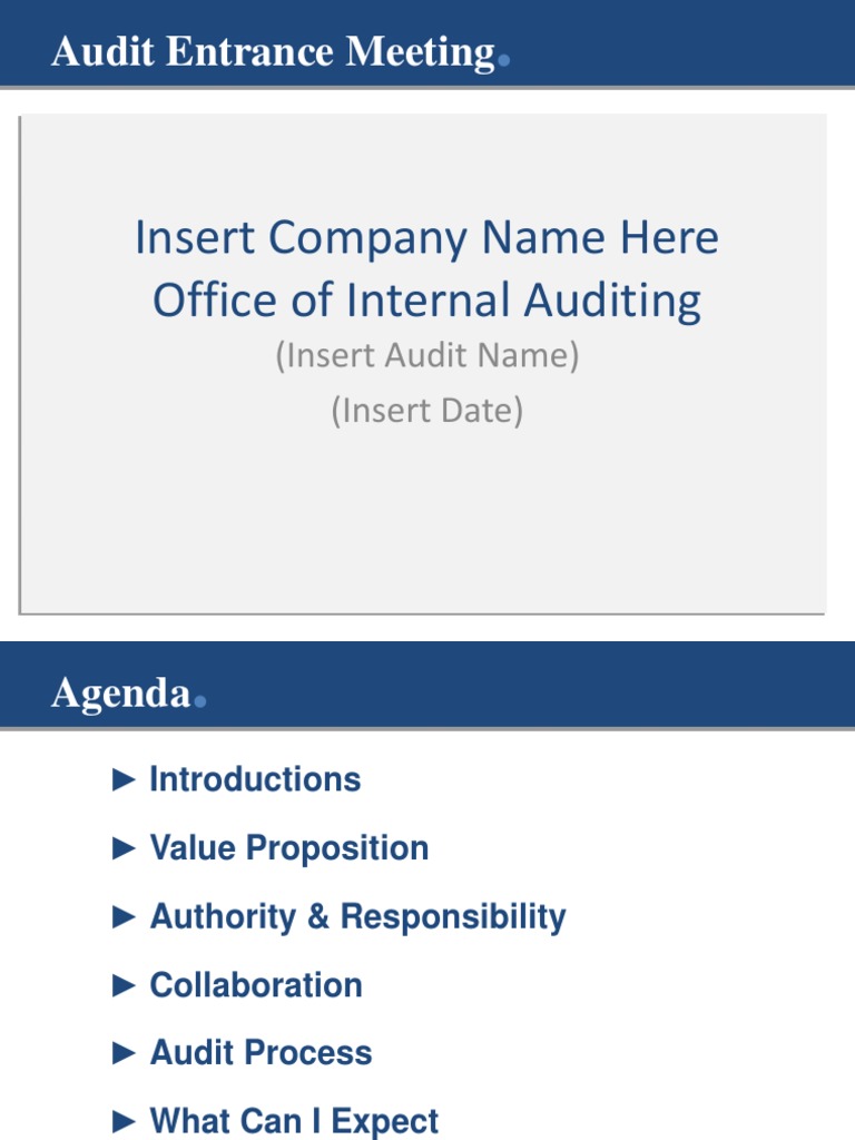 Audit Entrance Meeting Insert Company Name Here Office of Internal