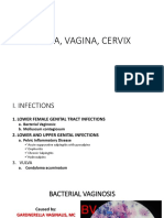 Female Reproductive Tract