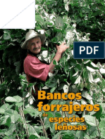 Bancos Forrajeros PDF