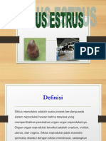 Siklus Estrus