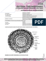 h18 - Sistema Tegumentario