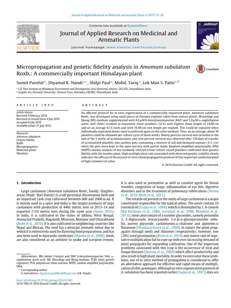 Plant Tissue Culture Journal Polymerase Chain Reaction Plants